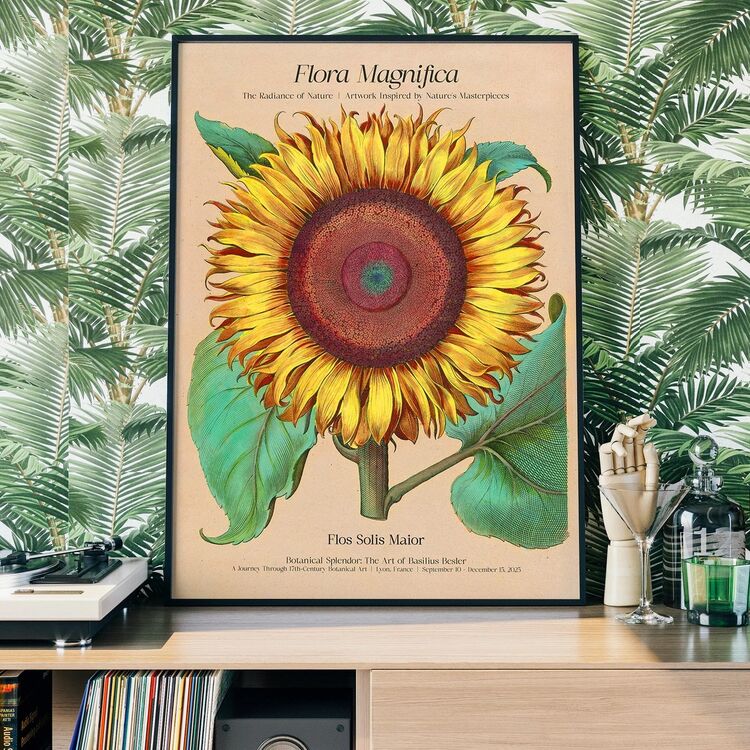 Flora Magnifica Sunflower Framed Print