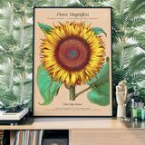 Flora Magnifica Sunflower Framed Print