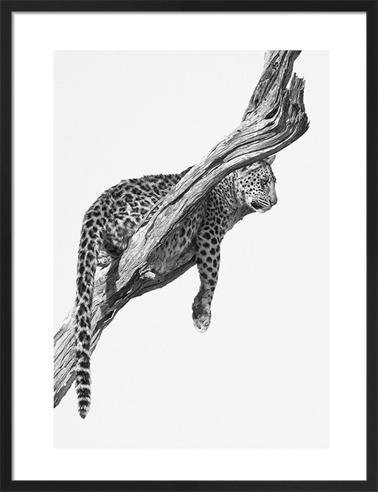 Okavango Art Framed Art Print by Mario Moreno