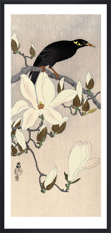Myna on Magnolia Branch Framed Art Print by Ohara Koson