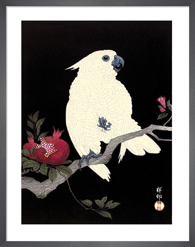 Cockatoo and Pomegranate Framed Art Print by Ohara Koson
