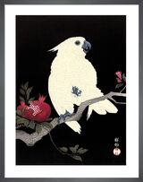 Cockatoo and Pomegranate Framed Art Print by Ohara Koson