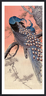Two Peacocks on Tree Branch Framed Art Print by Ohara Koson