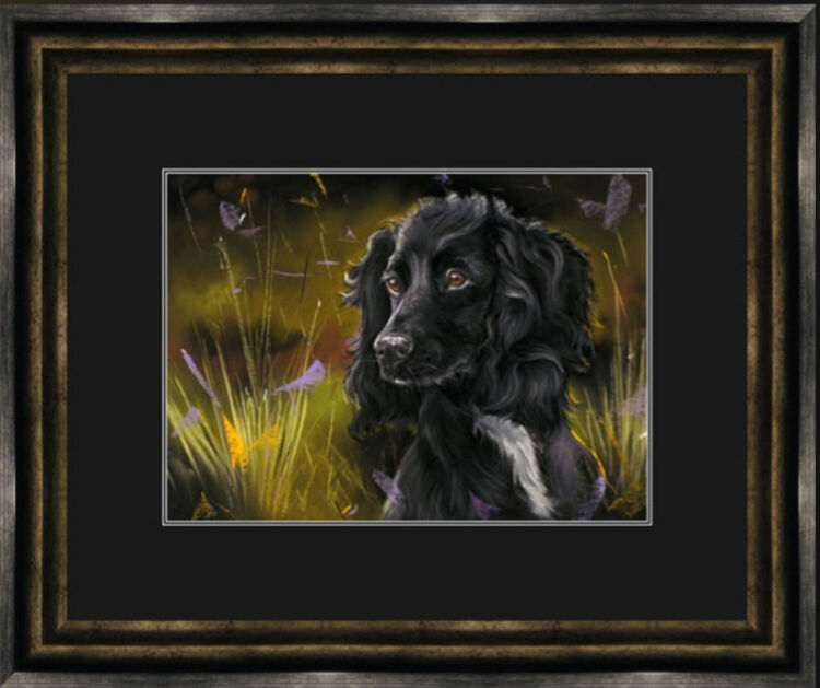 Field Game - Black Cocker Framed Limited Edition Art Print by Kay Johns