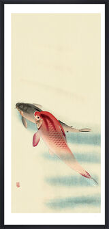 Two Carp Framed Art Print by Ohara Koson