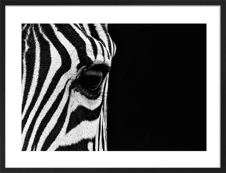Zebra Eye Framed Art Print by Mario Moreno