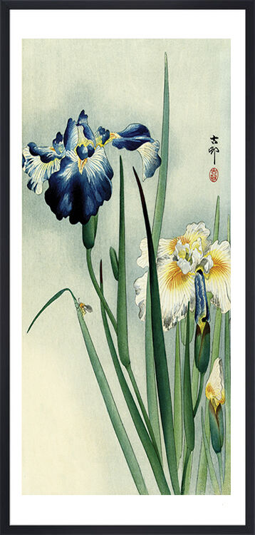 Irises Framed Art Print by Ohara Koson