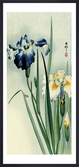 Irises Framed Art Print by Ohara Koson
