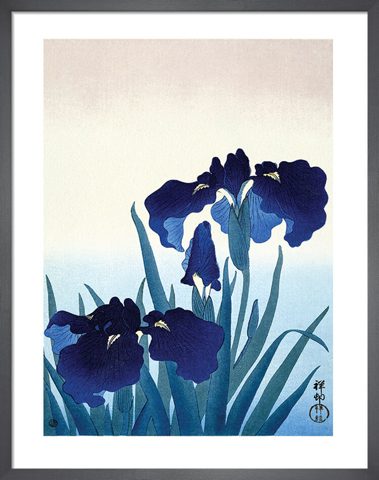 Iris Flowers Framed Art Print by Ohara Koson