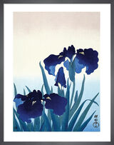 Iris Flowers Framed Art Print by Ohara Koson
