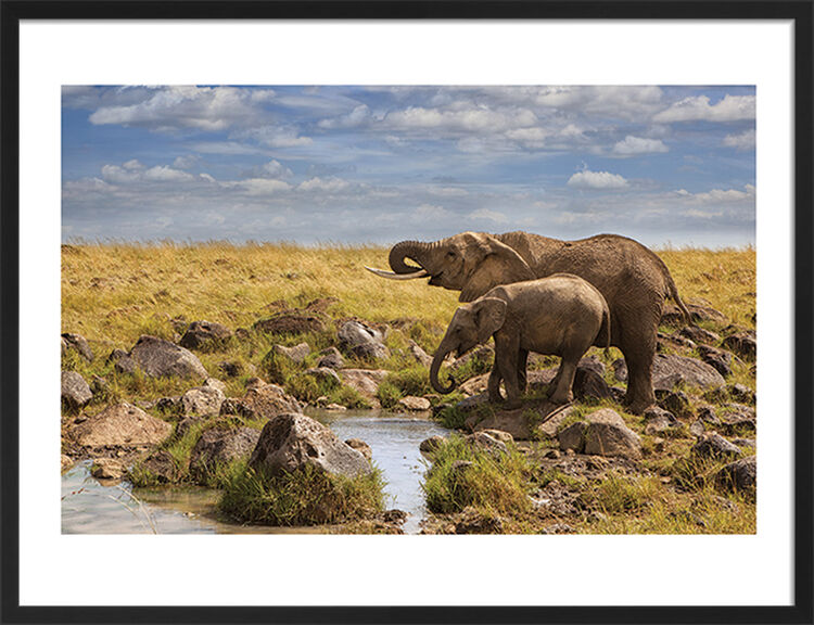 Elephants of Maasai Mara Framed Art Print by Mario Moreno