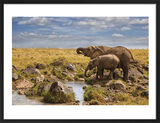 Elephants of Maasai Mara Framed Art Print by Mario Moreno