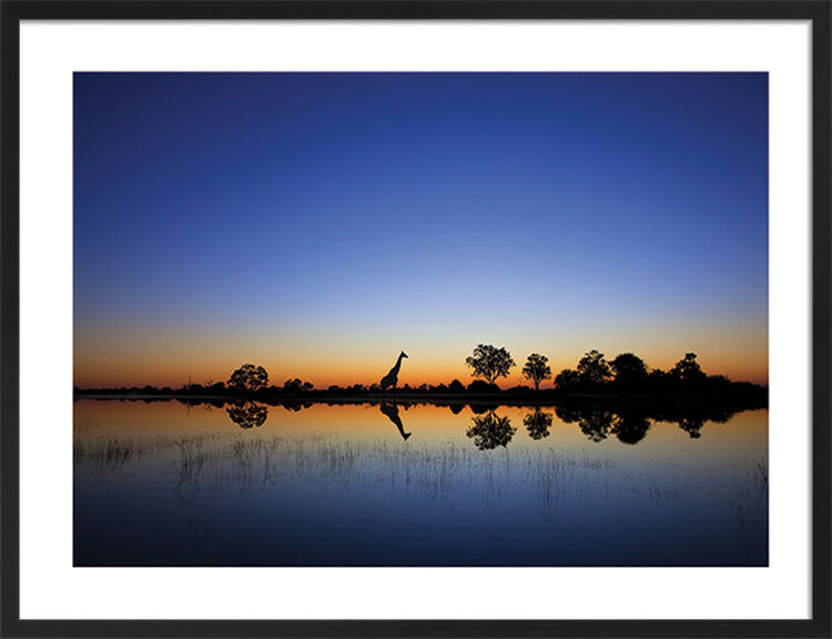 Okavango Framed Art Print by Mario Moreno