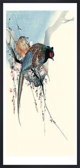 Pheasants Framed Art Print by Ohara Koson