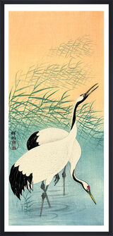 Two Cranes Framed Art Print by Ohara Koson