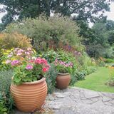 The Eastern Herbaceous Border and Arc Steps