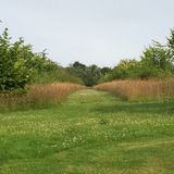 Mown Alone