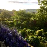 Looking East from the Bedroom window