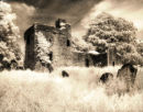 Sepia Toned Print