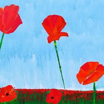 Poppy Fields