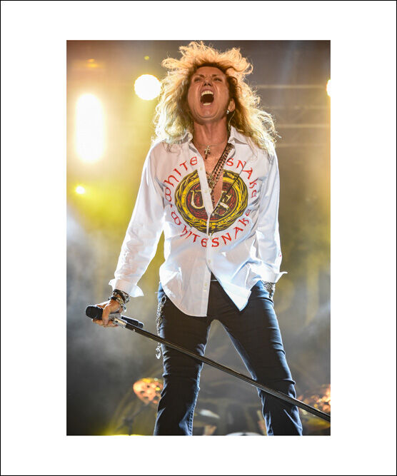 David Coverdale Whitesnake