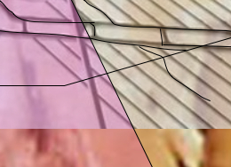 close up 2