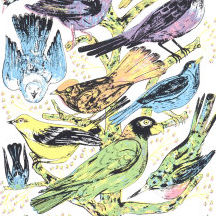 Bird Dome