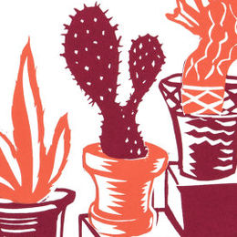 Cacti
