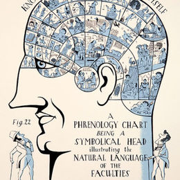 Phrenology Head