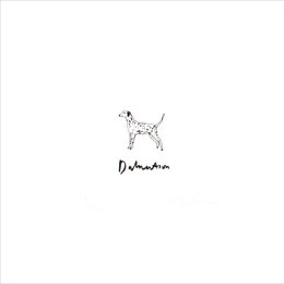 Dalmation