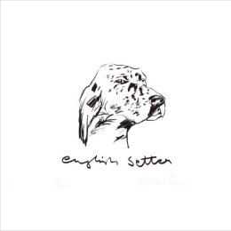 English Setter