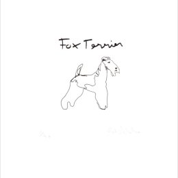 Fox Terrier