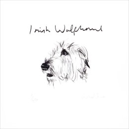 Irish Wolfhound
