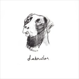 Labrador