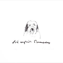 Old english Sheepdog