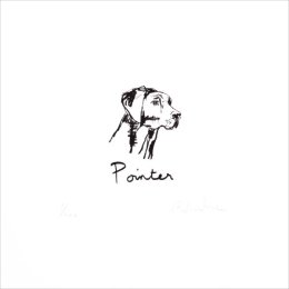 Pointer