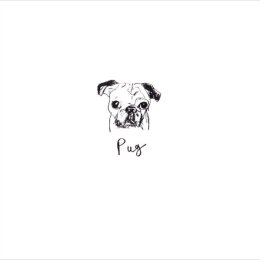 Pug