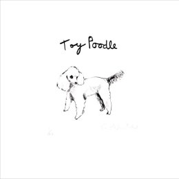 Toy Poodle