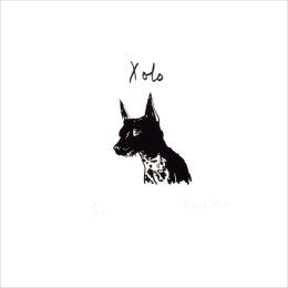Xolo