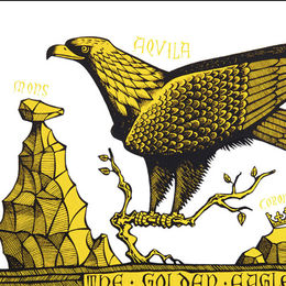 The Golden Eagle