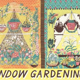 Window Gardening