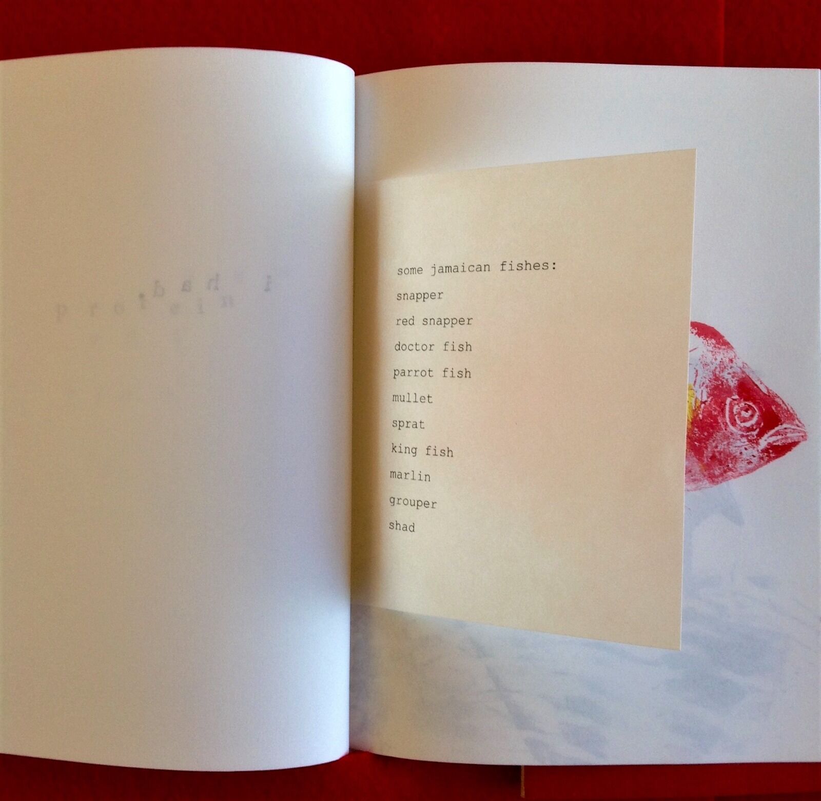 8. end pages, a saltfish tale