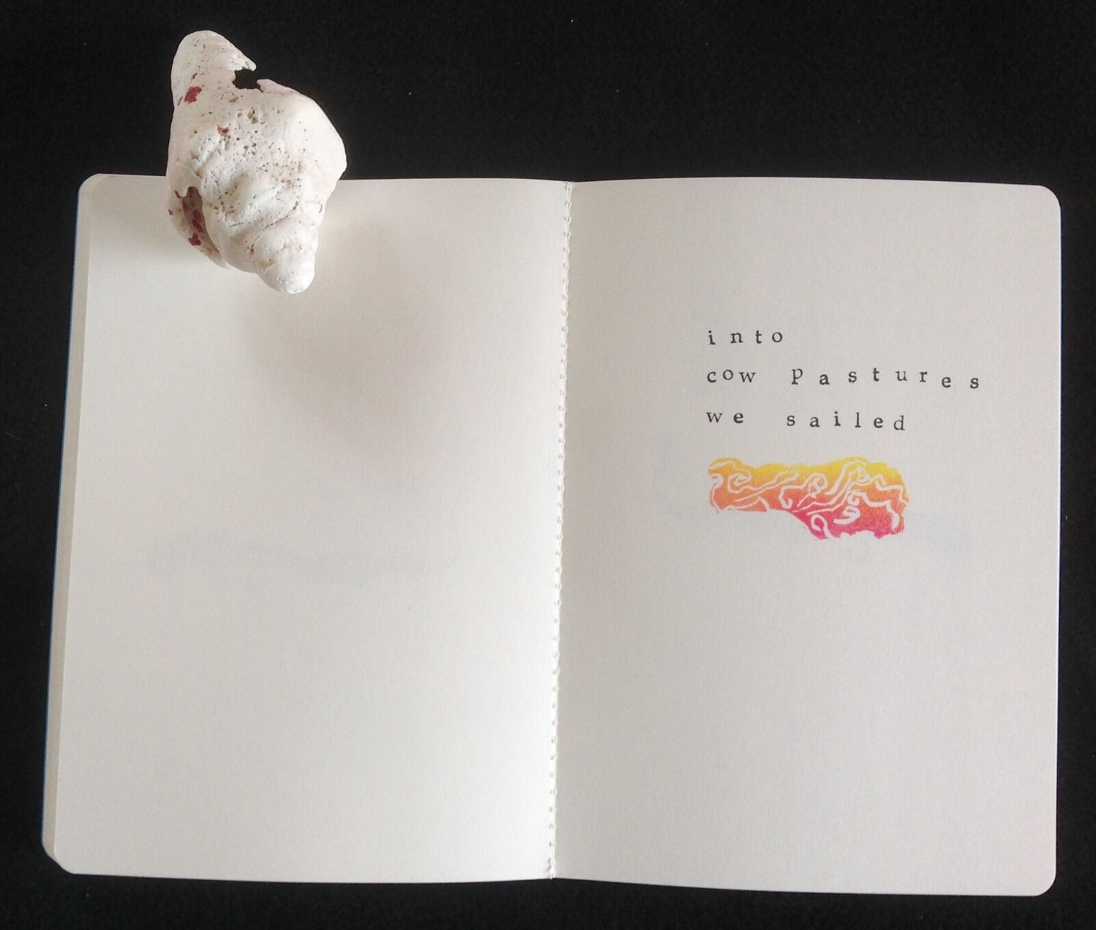 into cow pastures8