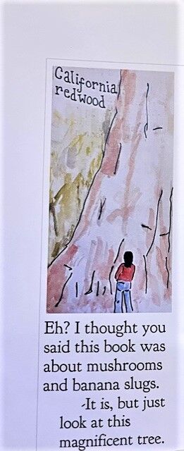 mushroom page 1