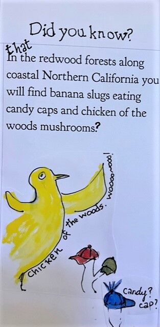 mushroom page 2