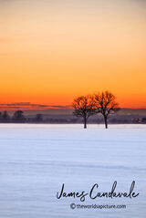 Warm Winter