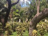 Central Park, Malaga