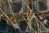 Catching the catch in Arrifana, Algarve.