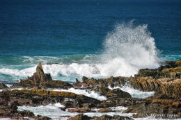Algarve in November 2014/3.