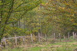 Ballingstorp grounds
